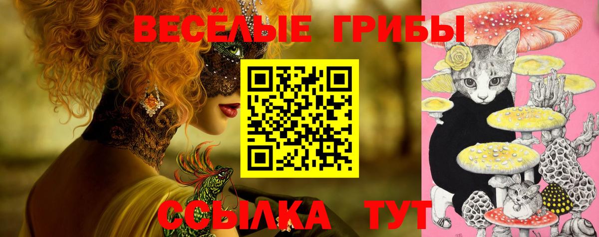 Галлюциногенные грибы Magic Shrooms  Вход с VPN  Псилоцибиновые грибы мицелий  Мичуринск 